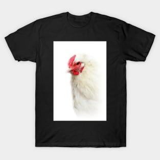 Portrait Of A Lady T-Shirt